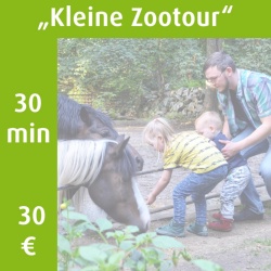 kachel-kleine Zootour