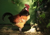 Das Zoomotto: Vom Bauernhof bis in den Dschungel © Maria Ehlers