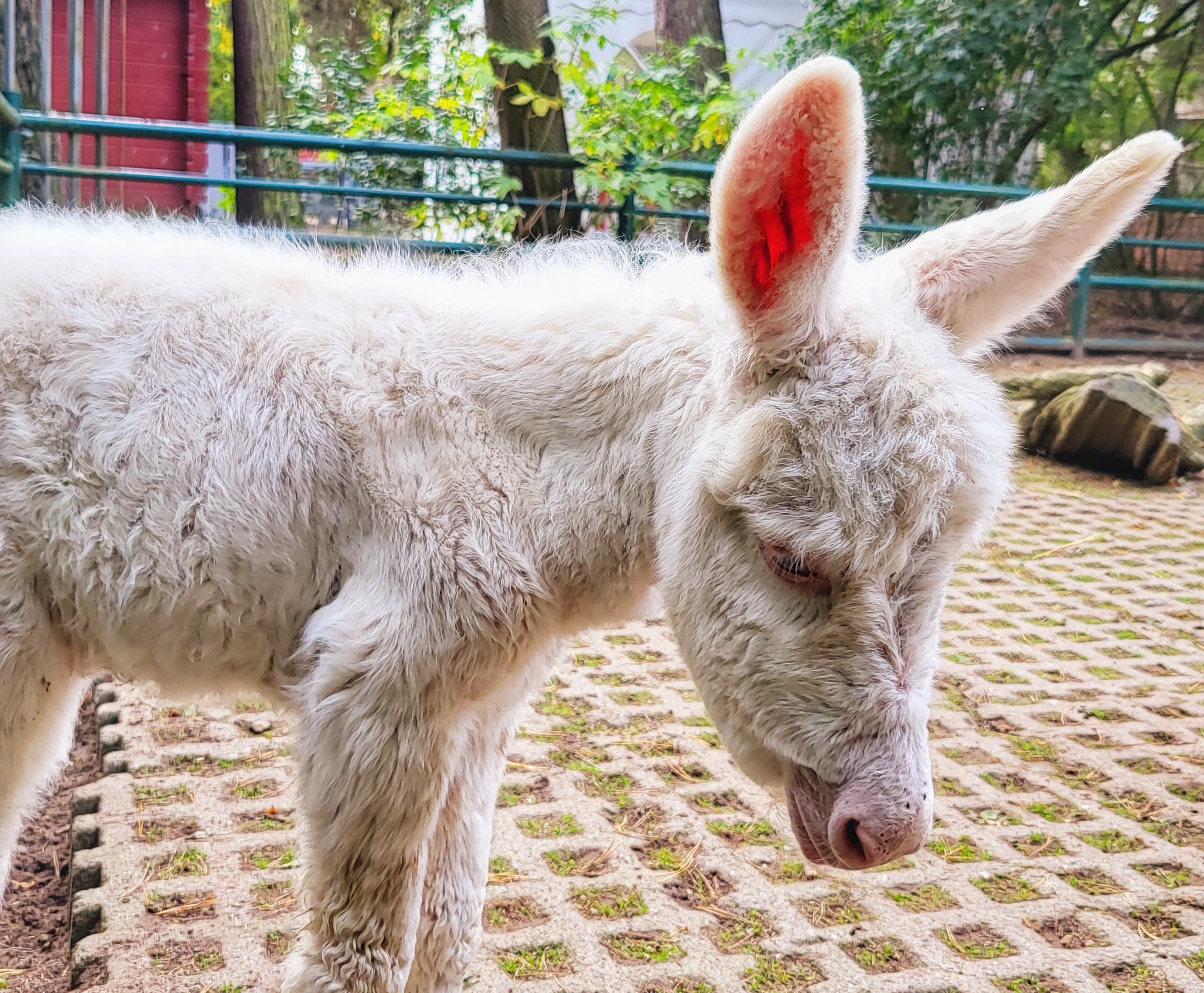 20221005_131353-01 20221005_131353-01