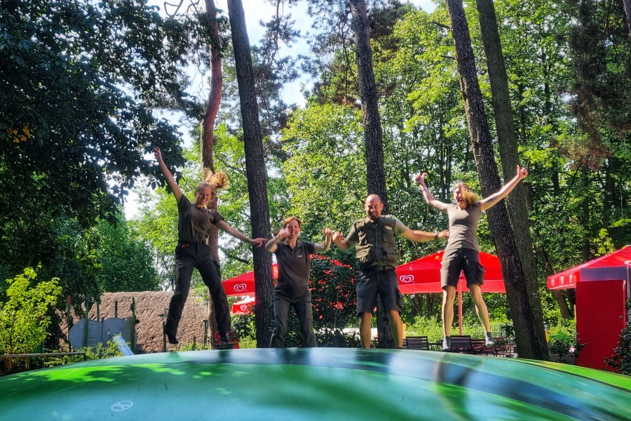 Neues_Huepfkissen_wird_eingehüppft Neues_Huepfkissen_wird_eingehüppft