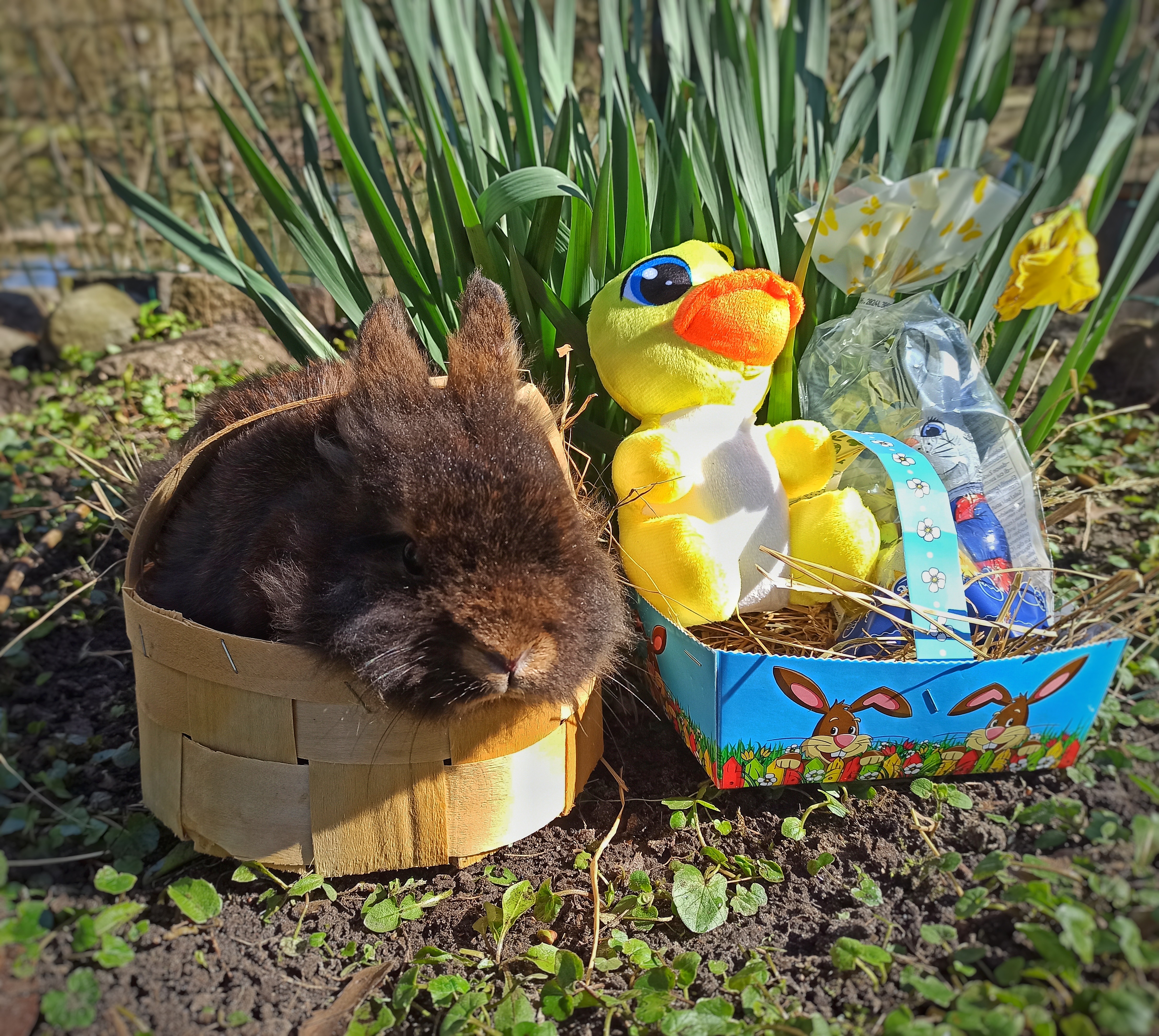 Osterkoerbchensuchen_im_Zoo_Stralsund Osterkoerbchensuchen_im_Zoo_Stralsund