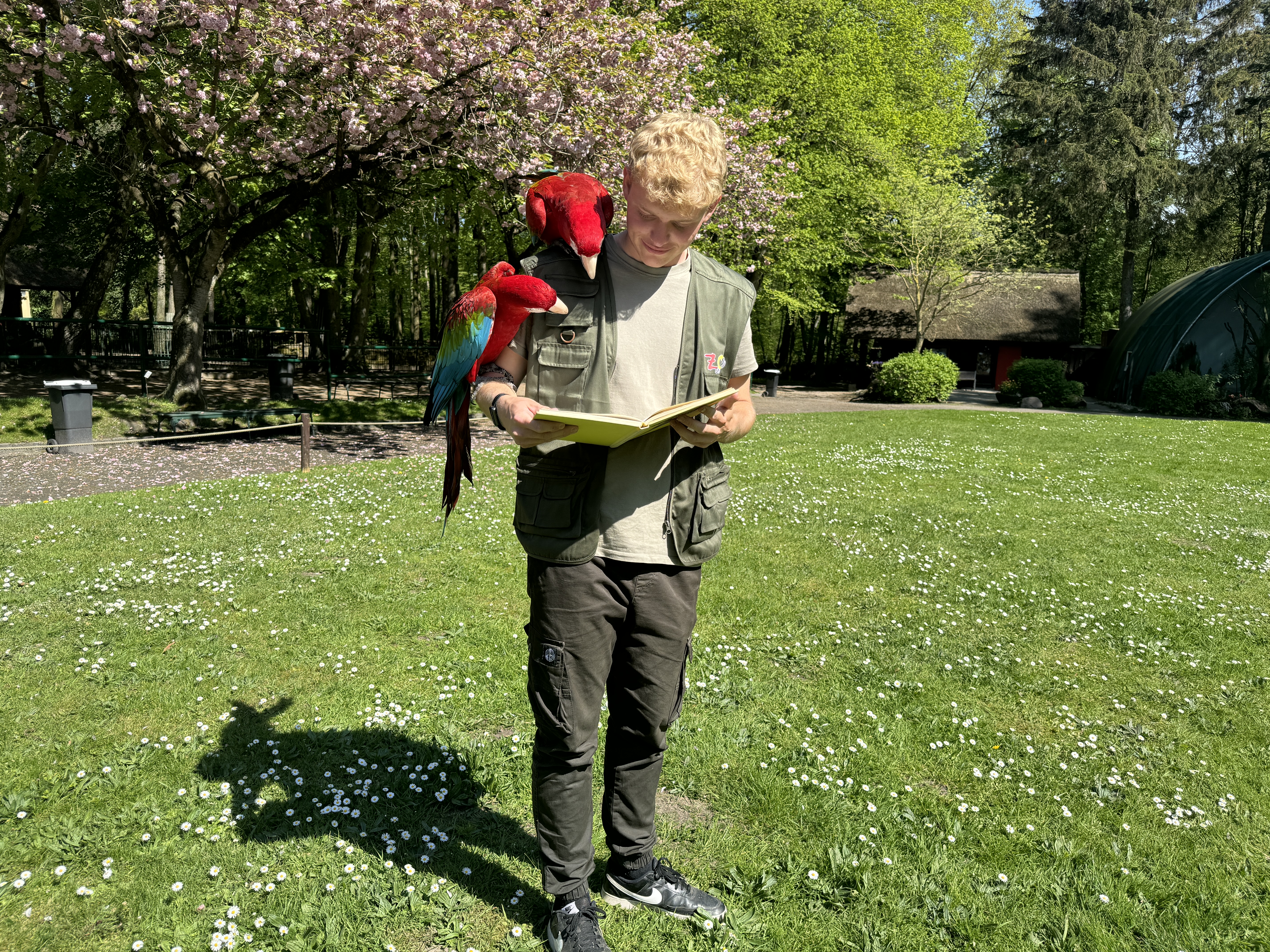 Bild_Ara_Lesung Bild_Ara_Lesung