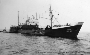 Seitentrawler GERA (1961) des Fischkombinats Rostock bei der Fangübernahme der Kleinen Küstenfischerei