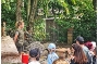 Zum Landeszootag können die Gäste des Stralsunder Zoos an kommentierten Fütterungen und Miniführungen teilnehmen