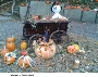 1534234375631_Halloween_im_Zoo_Stralsund.jpg