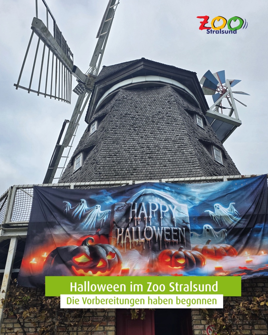 Halloween-im-Zoo-03