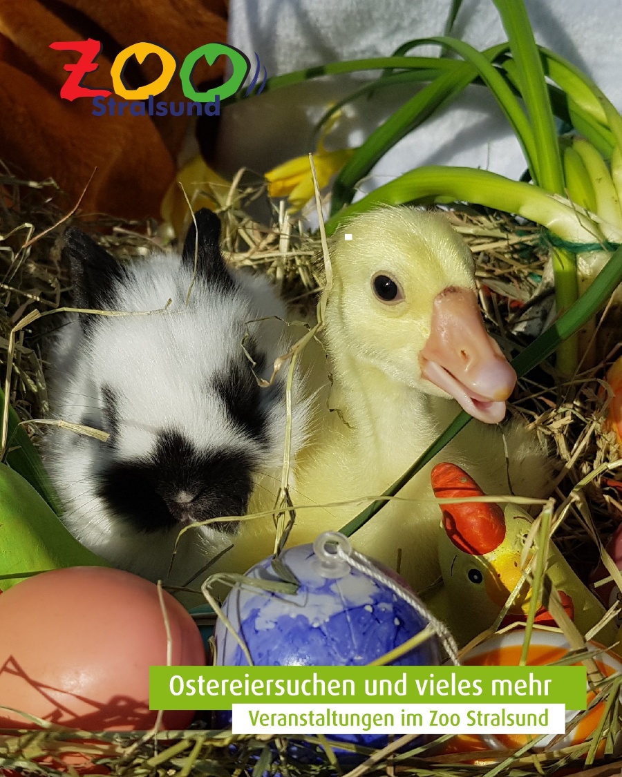 Ostern im Zoo Ostern im Zoo