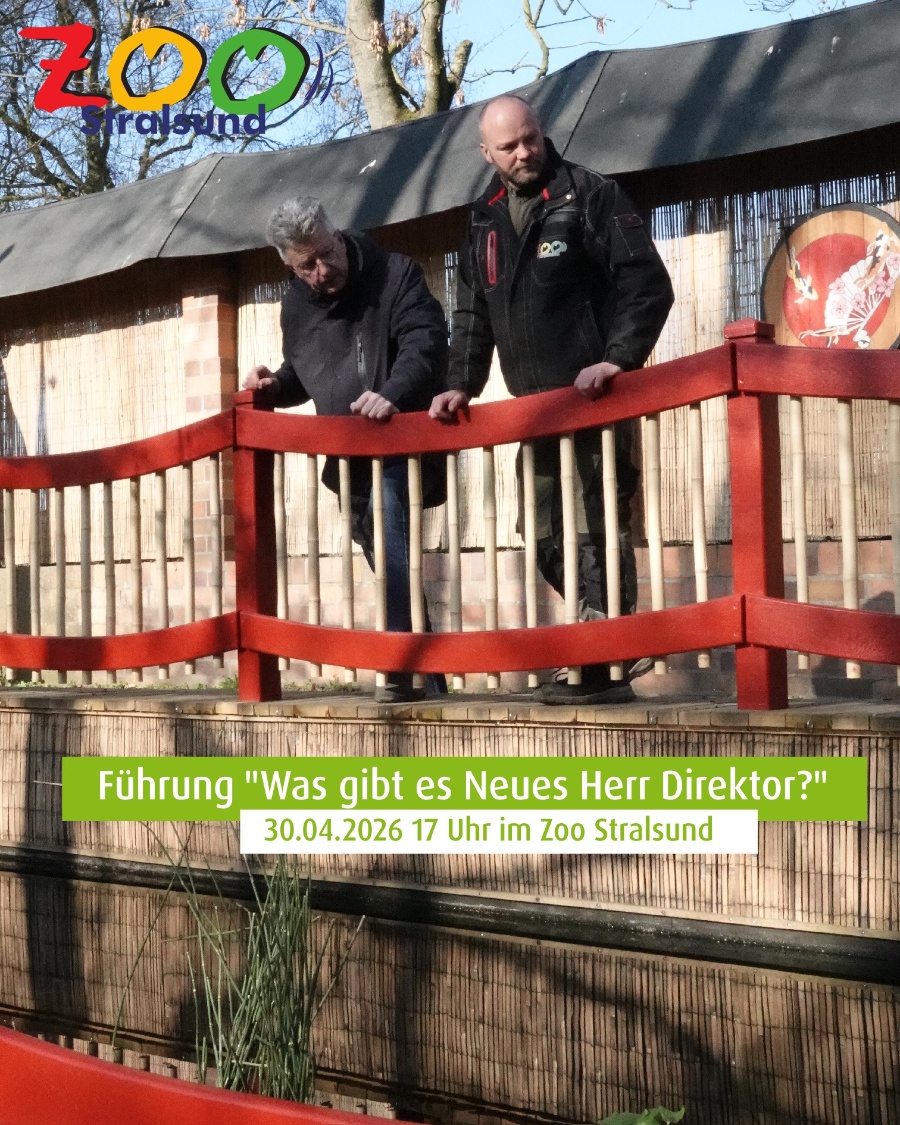 2026-04-23-was-gibts-neues