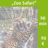 02-Zoo-Safari