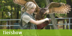 Eine Zoo-Mitarbeiterin hält eine Eule mit ausgebreiteten Flügeln auf dem Arm. Das Wort 