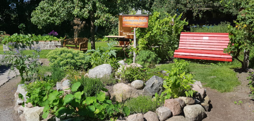 Der Bauerngarten mit einer roten Bank und verschiedenen Pflanzen.