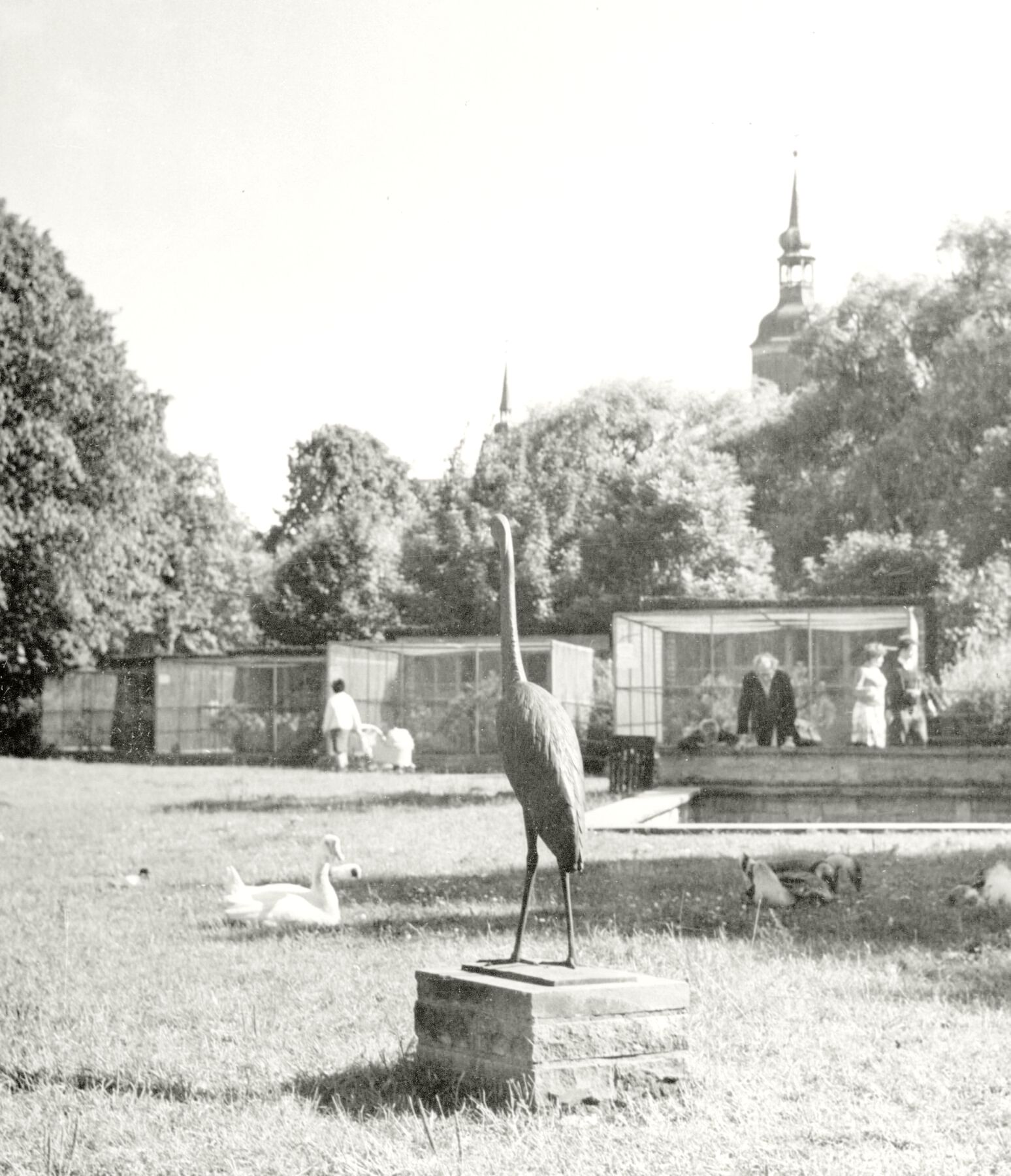 Tiergarten auf der Küterbastion - Im Vordergrund eine Kranich-Plastik, 1965 © Stadtarchiv Stralsund