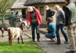 Impressionen vom Projekt Tiere als Therapeuten im Zoo Stralsund