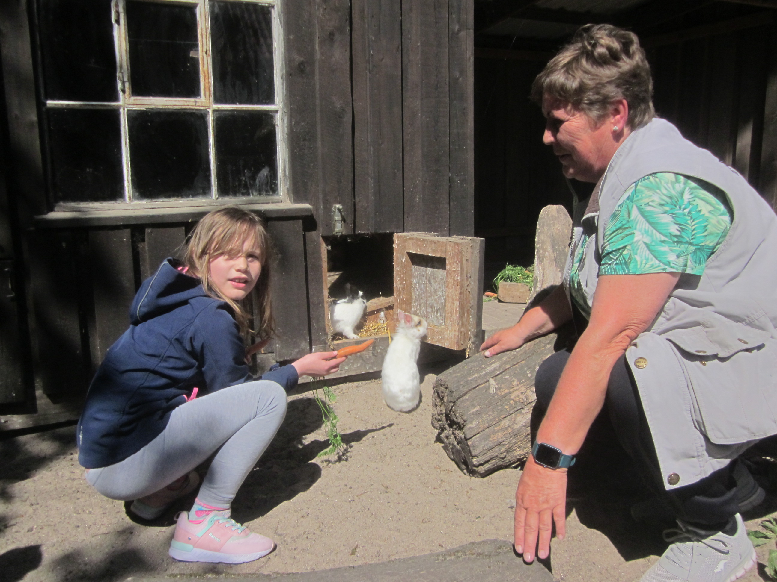 Ein Kind und eine weitere Besucherin füttern Kaninchen mit einer Karotte.